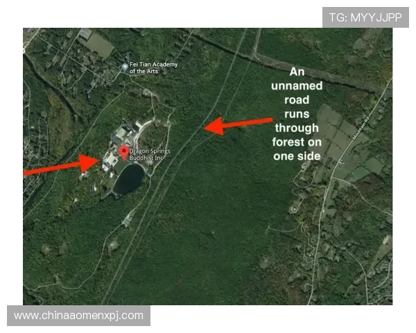 新澳内幕资料揭秘游戏开发背后隐藏的秘密与最新动态分析