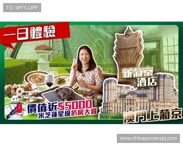 新葡京网娱乐用户评价与口碑分析，了解真实玩家的使用体验与推荐理由